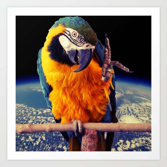 Parrot Art Print