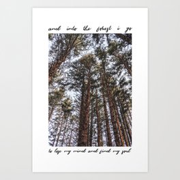 John Muir-And Into The Forest I Go To Lose My Mind And Find My Soul | Travel Photography Oregon Coast Tall Trees Art Print