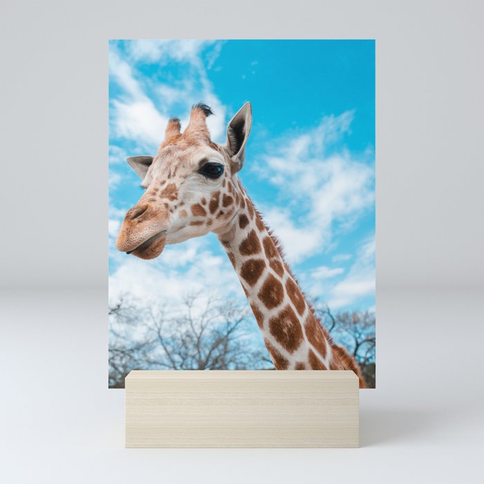 Giraffe Selfie Mini Art Print