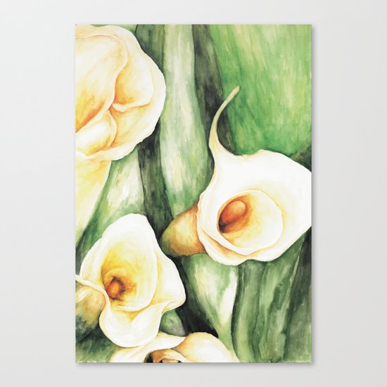 Calla Lilies Canvas Print