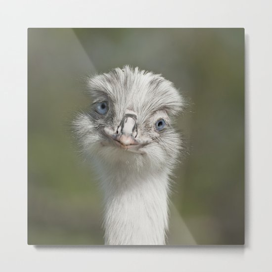 Adorable Flirt Metal Print
