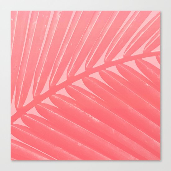 Hot Pink Palm Canvas Print