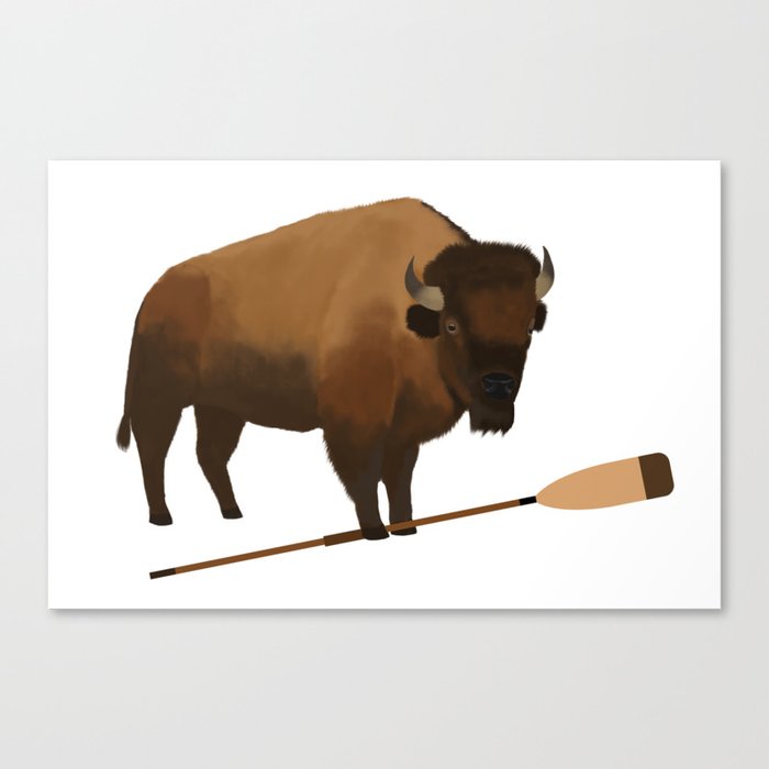 Bison Rowing Canvas Print