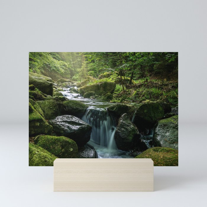 Flowing Creek, Green Mossy Rocks, Forest Nature Photography Mini Art Print