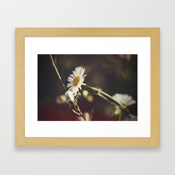 White Flower Spider Framed Art Print