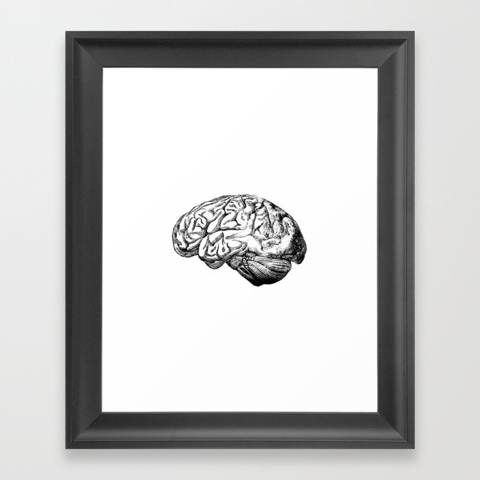 Brain Anatomy Framed Art Print