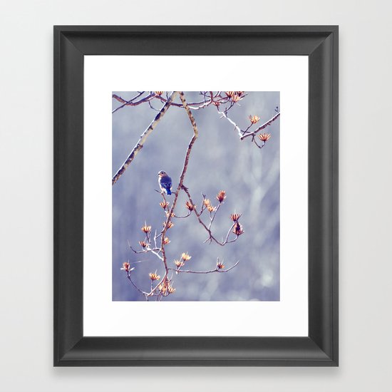 A Bluebird for Isabelle Framed Art Print