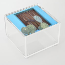 Aqua Wall + Cactus :: Barrio Viejo Acrylic Box