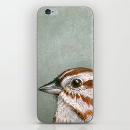 Song Sparrow Portrait iPhone Skin