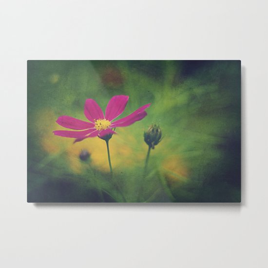 wonder Metal Print