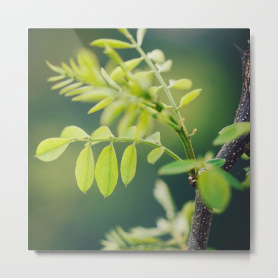 Earth Day Metal Print