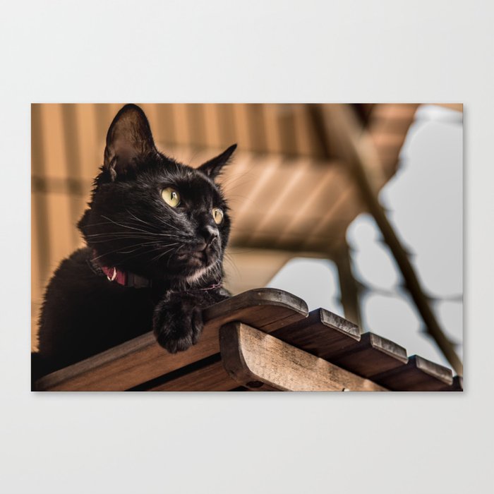 Chewbacca the Black Shouting Cat Canvas Print