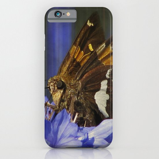 The Little Skipper iPhone & iPod Case