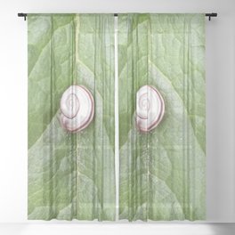 Snail and green leaf symbiosis Sheer Curtain