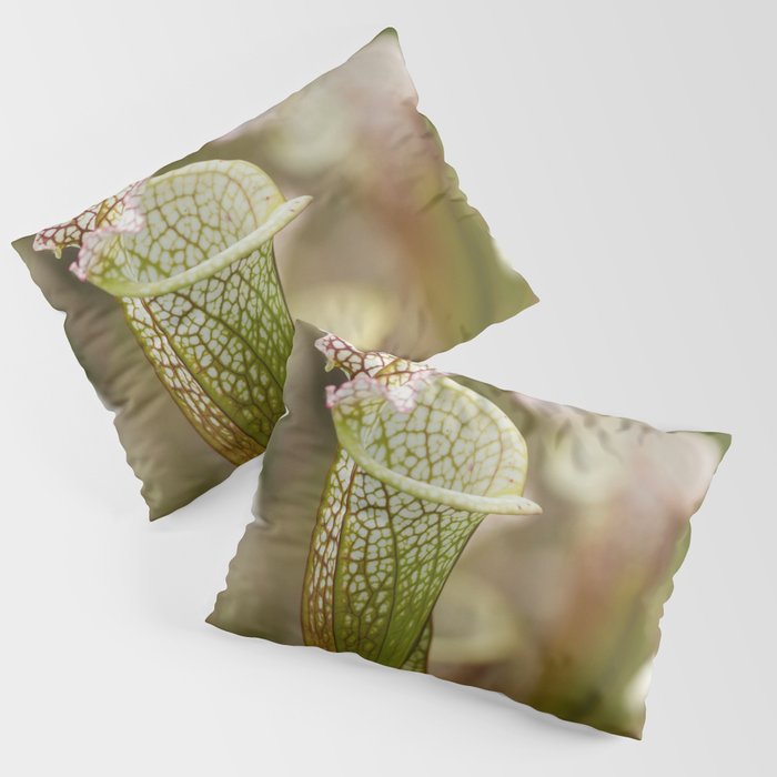 Pitcher Plant Art Pillow Sham