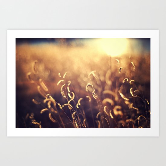 For The Dream Art Print