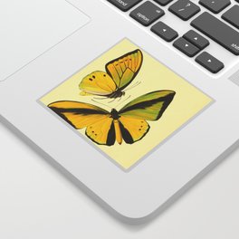 Lepidoptera Butterfly Pattern WFK Cottagecore Lithograph Print Sticker