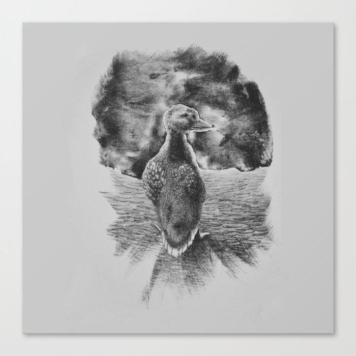 Wandering Duck Canvas Print