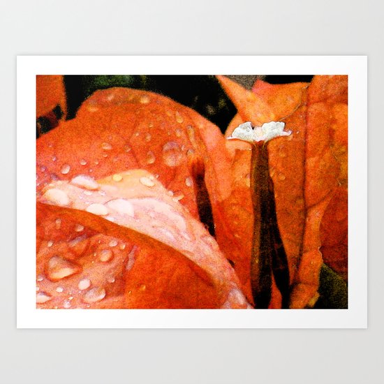 Tangerine Dreams Art Print