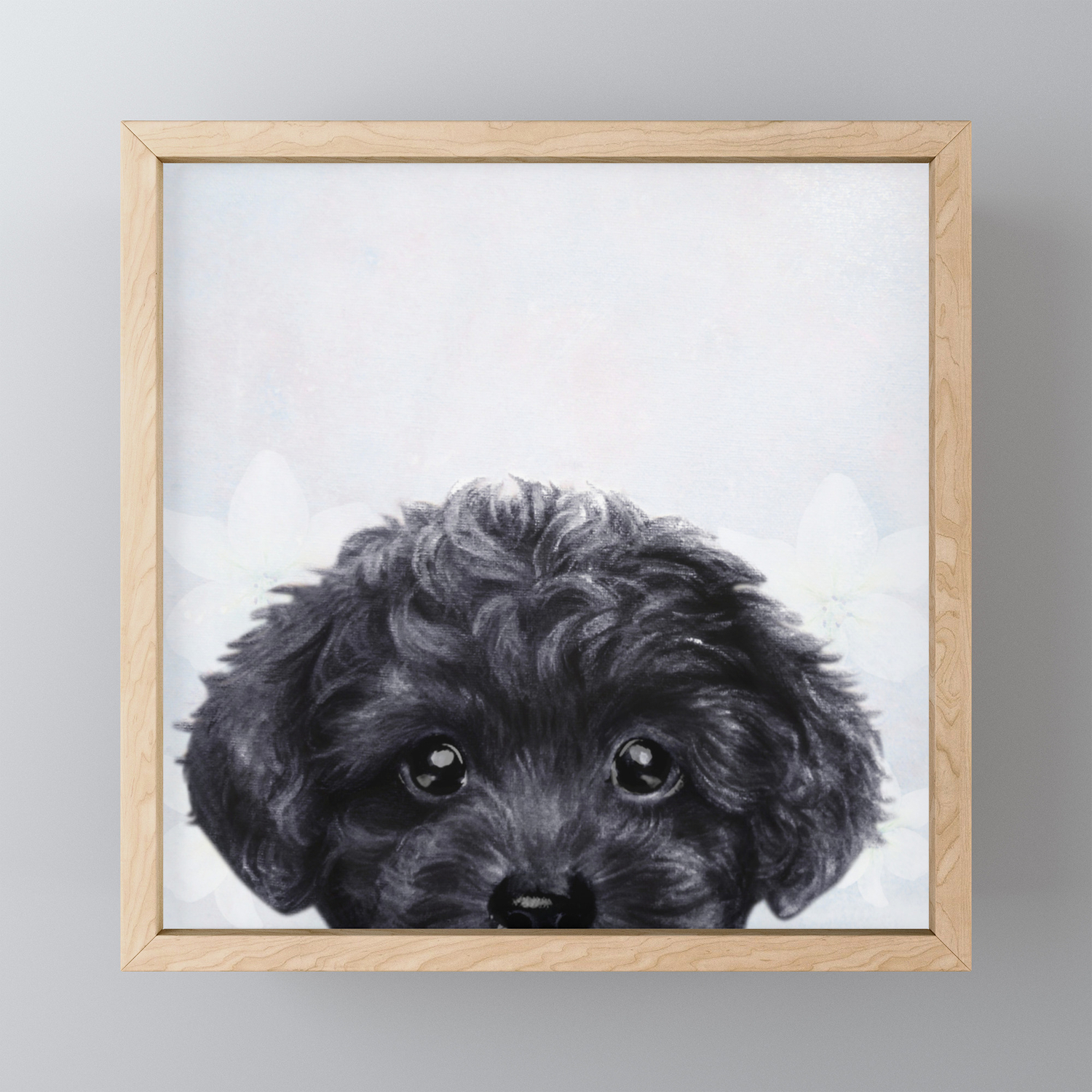 mini toy poodle black