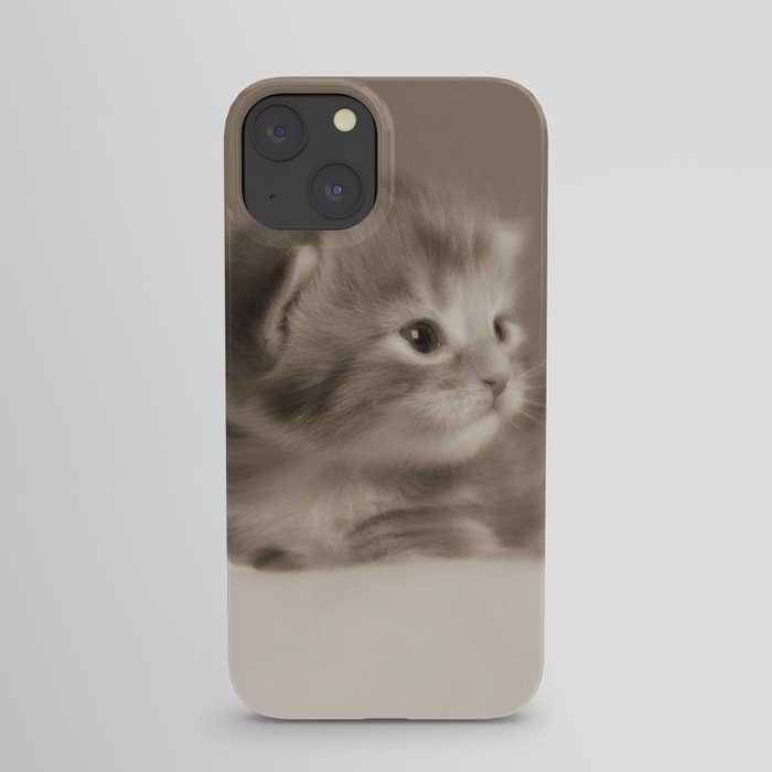 cat iPhone Case