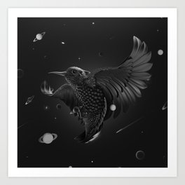 BlackBird Art Print