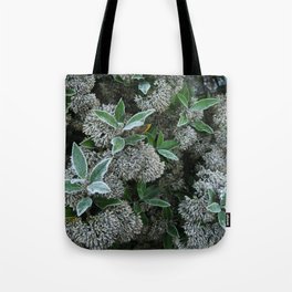 Frosty New Zealand Morning Tote Bag
