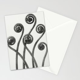 American Maiden-Hair Fern Fronds Vintage Botanical Print by Karl Blossfeldt Stationery Cards