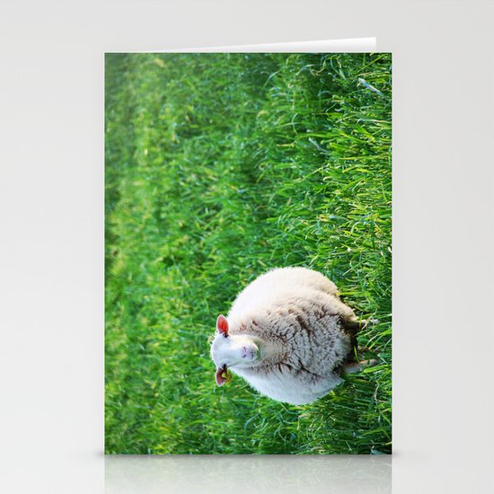 Sheep Stationery Cards