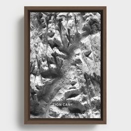 Zion Canyon 3D Map Framed Canvas