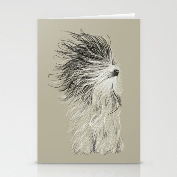 Drawing of an Old English Sheep Dog Drying Off Stationery Cards