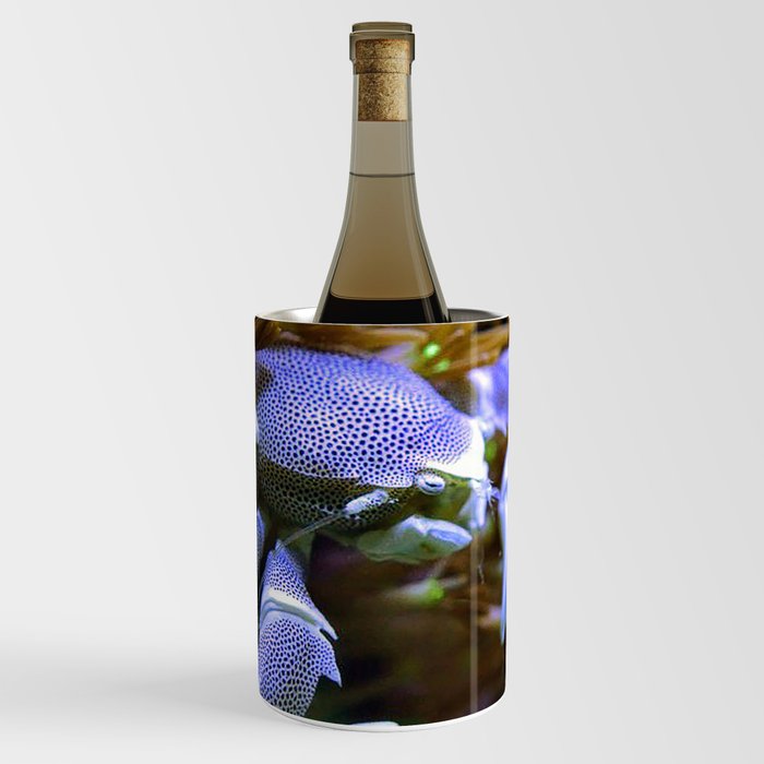 fish Wine Chiller