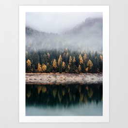 the mirrored woods Art Print
