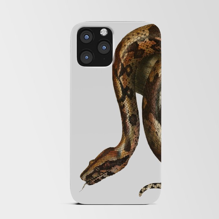 Boa constrictor vintage drawing iPhone Card Case