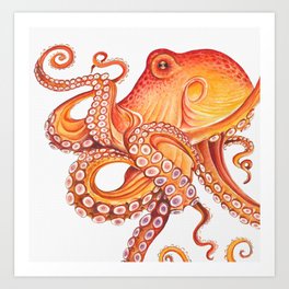 Red Octopus Kraken Tentacles on White Watercolor Art Art Print