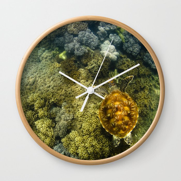 Turtle reef launch Wall Clock