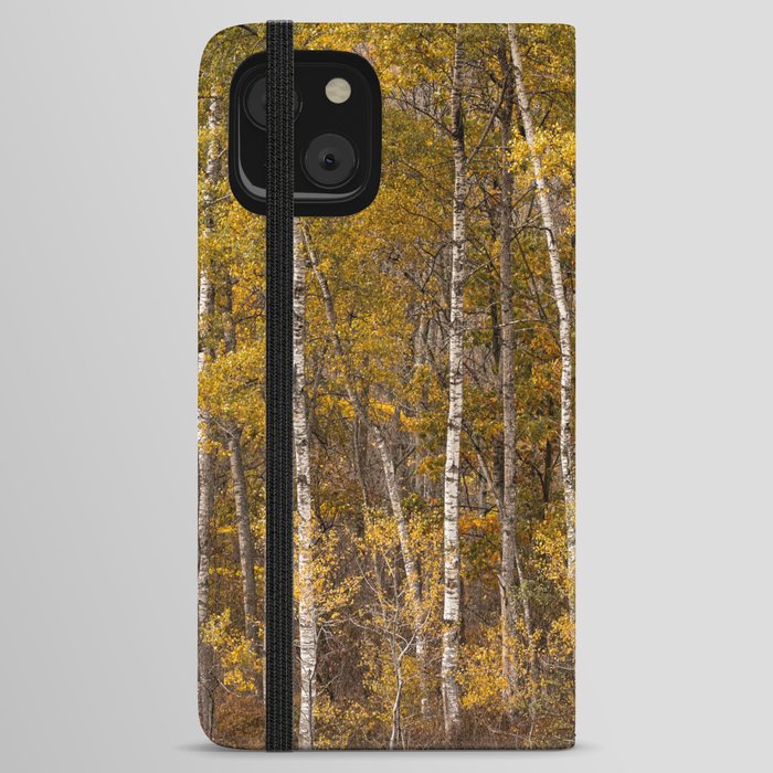 Autumn Birch  iPhone Wallet Case