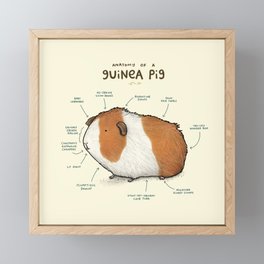 Anatomy of a Guinea Pig Framed Mini Art Print