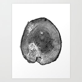 Pine Log Art Print