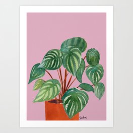 Plant in pot - pink palette Art Print