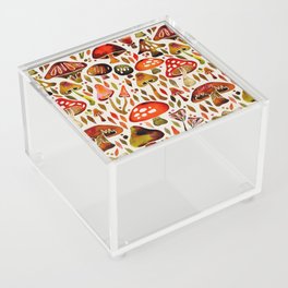 Mushroom Magic – Autumn Palette Acrylic Box