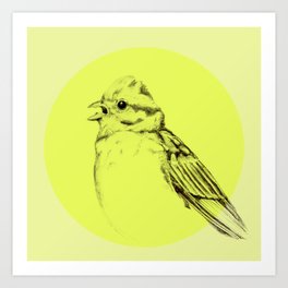 Yellowhammer - Yellow Bird Drawing Art Print