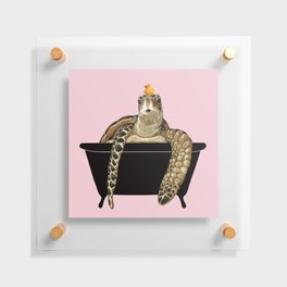 Sea Turtle in Bathtub Pink Floating Acrylic Print