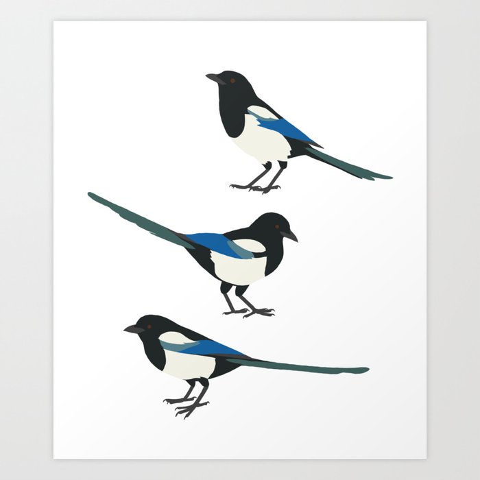 Funny Birds Magpie Art Print
