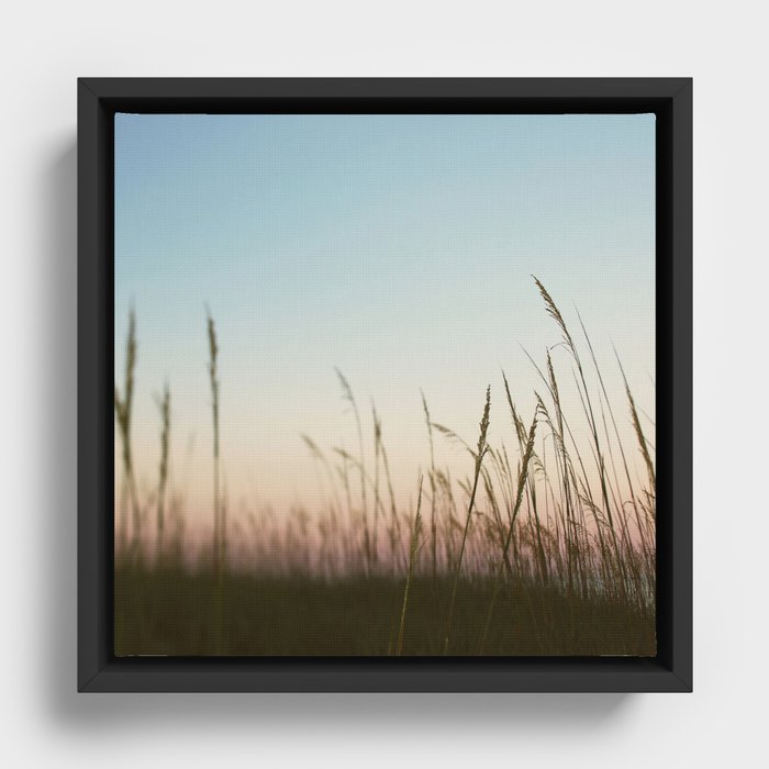 Sea Grass Framed Canvas