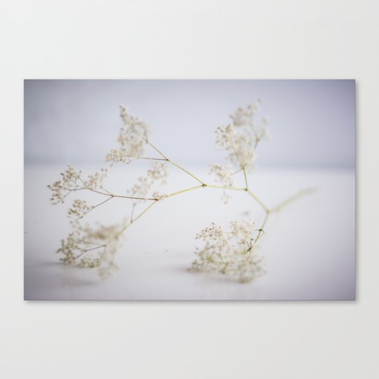 Soft flowers Canvas Print