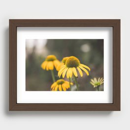 Yellow Coneflower Recessed Framed Print