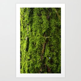 Moss Green, Moss Texture, Textured, Woodland Decor, Nature Art Print, Moss Decor, Nature home, Art Print