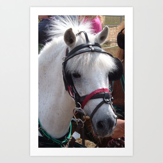 WHITE PONY WITH JAUNTY HAIR STYLE Art Print