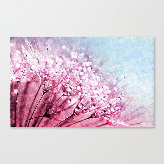 Mauve Lavender Blue Dandelion Dew Flowers Canvas Print